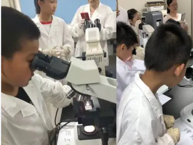 构建起网络讲堂区域教研的数字教育新生态中心节点全覆盖 构建起网络讲堂区域教研的数字教育新生态中心节点全覆盖